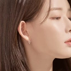 Wing Bling Earrings For Women No Color Specification X Earring -Wing Bling Online Shop org 1112