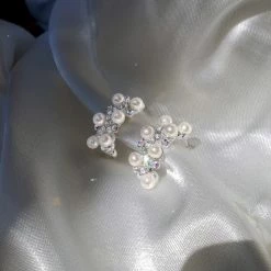 Wing Bling Earrings For Women No Color Specification X Piercing -Wing Bling Online Shop org 1139