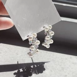 Wing Bling Earrings For Women No Color Specification X Piercing -Wing Bling Online Shop org 1142