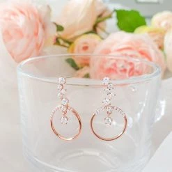 Wing Bling Casual Style Street Style Party Style Elegant Style Earrings For Women Pink X One Size -Wing Bling Online Shop org 1314