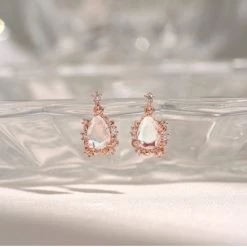 Wing Bling Earrings For Women Silver X One Size