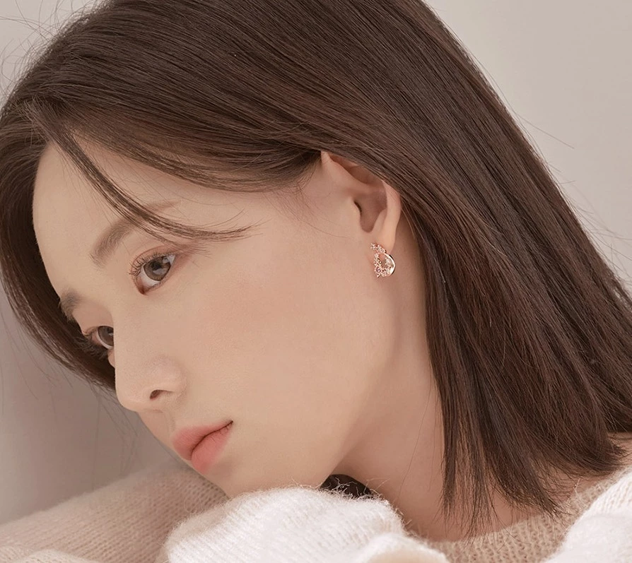 Wing Bling Earrings For Women No Color Specification X One Size 6 Wing Bling Earrings For Women No Color Specification X One Size - Image 4