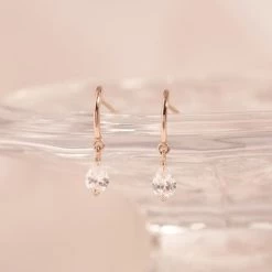 Wing Bling Earrings For Women No Color Specification X One Size