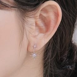Wing Bling Casual Style Street Style Party Style Elegant Style Earrings For Women Pink X One Size -Wing Bling Online Shop org 190