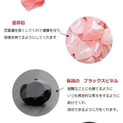 Wing Bling Casual Style Street Style Party Style Elegant Style Earrings For Women Black X One Size -Wing Bling Online Shop org 2190