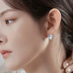 Wing Bling Casual Style Street Style Party Style Elegant Style Earrings For Women Sivler X One Size -Wing Bling Online Shop org 2309