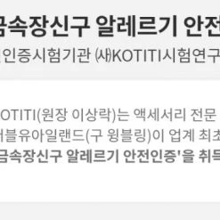 Wing Bling Casual Style Unisex Street Style Elegant Style Earrings For Women Silver X Free -Wing Bling Online Shop org 2445