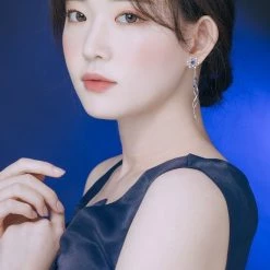 Wing Bling Casual Style Street Style Party Style Elegant Style Earrings For Women Silver (pierce) X One Size -Wing Bling Online Shop org 2569