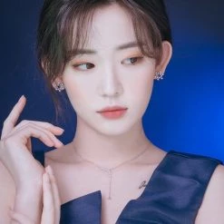 Wing Bling Casual Style Street Style Party Style Elegant Style Earrings For Women Silver (pierce) X One Size -Wing Bling Online Shop org 2570