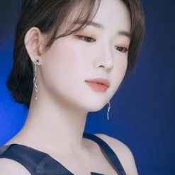 Wing Bling Casual Style Street Style Party Style Elegant Style Earrings For Women Silver (pierce) X One Size -Wing Bling Online Shop org 2572