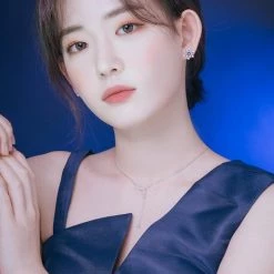 Wing Bling Casual Style Street Style Party Style Elegant Style Earrings For Women Silver (pierce) X One Size -Wing Bling Online Shop org 2573