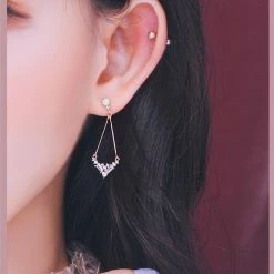 Wing Bling Casual Style Street Style Elegant Style Earrings For Women Pinkgold X One Size -Wing Bling Online Shop org 2670