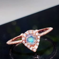 Wing Bling Rings For Women No Color Specification X One Size -Wing Bling Online Shop org 2971