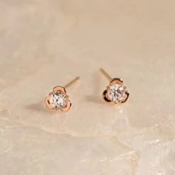 Wing Bling Earrings For Women No Color Specification X One Size