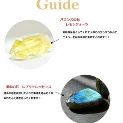 Wing Bling Casual Style Street Style Party Style Elegant Style Earrings For Women Pink X One Size -Wing Bling Online Shop org 3326