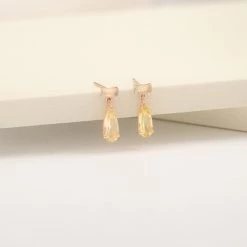 Wing Bling Casual Style Street Style Party Style Elegant Style Earrings For Women Pink X One Size -Wing Bling Online Shop org 3327