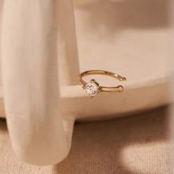 Wing Bling Earrings For Women No Color Specification X One Size 9 Wing Bling Earrings For Women No Color Specification X One Size -Wing Bling Online Shop org 3386