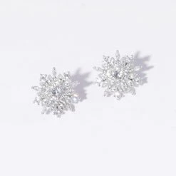 Wing Bling Earrings For Women No Color Specification X Earrings -Wing Bling Online Shop org 3461