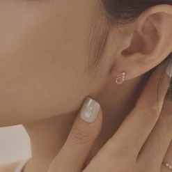 Wing Bling Earrings For Women No Color Specification X One Size -Wing Bling Online Shop org 3842