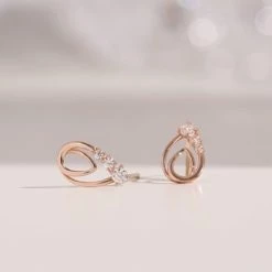 Wing Bling Earrings For Women No Color Specification X One Size -Wing Bling Online Shop org 3843