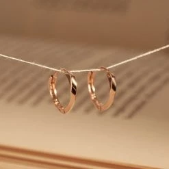 Wing Bling Earrings For Women No Color Specification X One Size -Wing Bling Online Shop org 3926