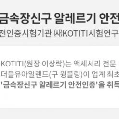 Wing Bling Casual Style Unisex Street Style Elegant Style Earrings For Women Silver X Free -Wing Bling Online Shop org 3959