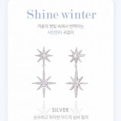 Wing Bling Casual Style Street Style Elegant Style Earrings For Women Silver X Free -Wing Bling Online Shop org 4303