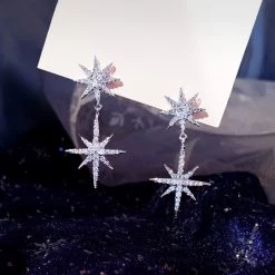 Wing Bling Casual Style Street Style Elegant Style Earrings For Women Silver X Free -Wing Bling Online Shop org 4304