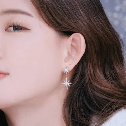 Wing Bling Casual Style Street Style Elegant Style Earrings For Women Silver X Free -Wing Bling Online Shop org 4312