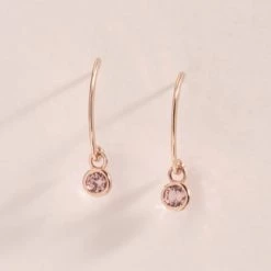 Wing Bling Earrings For Women No Color Specification X One Size