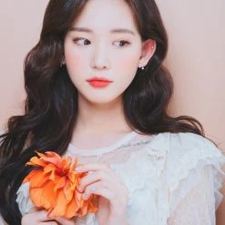 Wing Bling Earrings For Women Silver X Earring -Wing Bling Online Shop org 4451