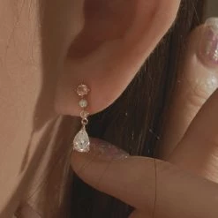 Wing Bling Earrings For Women No Color Specification X One Size