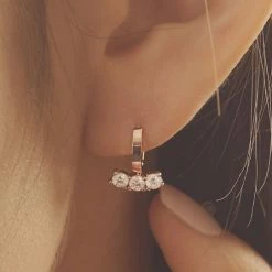 Wing Bling Earrings For Women No Color Specification X One Size