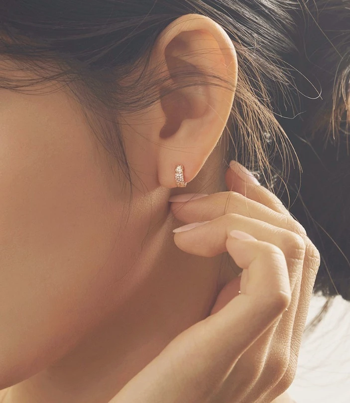 Wing Bling Earrings For Women Champagne X One Size 8 Wing Bling Earrings For Women Champagne X One Size - Image 6