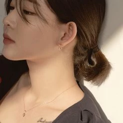 Wing Bling Earrings For Women No Color Specification X One Size -Wing Bling Online Shop org 4519