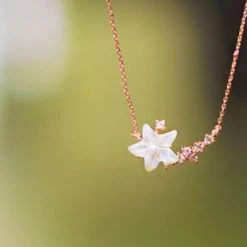 Wing Bling Online Shop -Wing Bling Online Shop org 4551