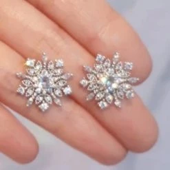 Wing Bling Unisex Street Style Earrings For Women Silver X Free