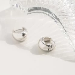 Wing Bling Casual Style Street Style Party Style Elegant Style Earrings For Women Sivler X One Size -Wing Bling Online Shop org 5105