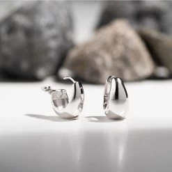 Wing Bling Casual Style Street Style Party Style Elegant Style Earrings For Women Sivler X One Size -Wing Bling Online Shop org 5106