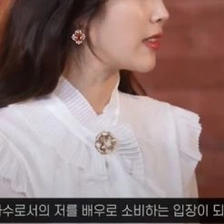 Wing Bling Earrings For Women No Color Specification X Piercing -Wing Bling Online Shop org 5196