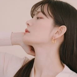 Wing Bling Casual Style Street Style Elegant Style Earrings For Women Gold X One Size -Wing Bling Online Shop org 5254