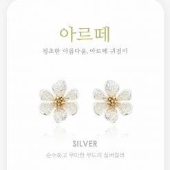 Wing Bling Casual Style Street Style Elegant Style Earrings For Women Silver X One Size -Wing Bling Online Shop org 531