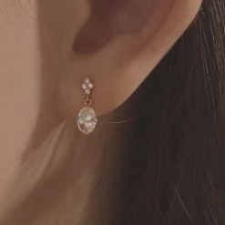 Wing Bling Earrings For Women No Color Specification X One Size