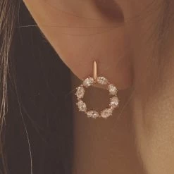 Wing Bling Earrings For Women No Color Specification X One Size