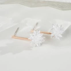 Wing Bling Earrings For Women No Color Specification X One Size