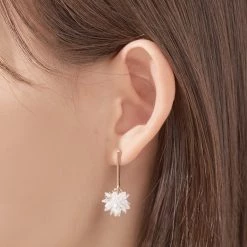 Wing Bling Earrings For Women No Color Specification X One Size 9 Wing Bling Earrings For Women No Color Specification X One Size -Wing Bling Online Shop org 5425