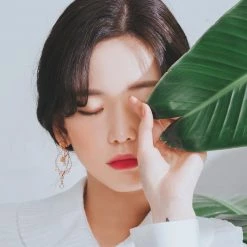 Wing Bling Earrings For Women No Color Specification X Earring -Wing Bling Online Shop org 5507