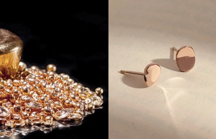 Wing Bling Earrings For Women No Color Specification X One Size 6 Wing Bling Earrings For Women No Color Specification X One Size - Image 4