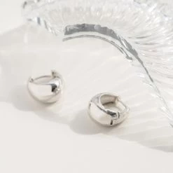 Wing Bling Casual Style Street Style Party Style Elegant Style Earrings For Women Silver X One Size -Wing Bling Online Shop org 6047