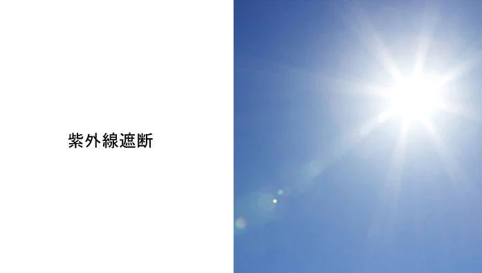 Wing Bling Street Style Plain Logo Face Masks For Women Black+blue X M*2 14 Wing Bling Street Style Plain Logo Face Masks For Women Black+blue X M*2 - Image 12